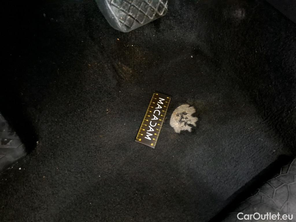  Skoda  Octavia  Break Business 2.0 TDI 150CV BVA7 E6d #1