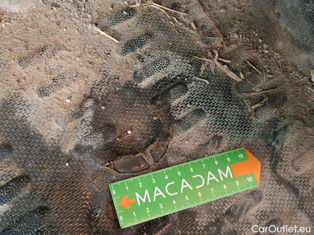  Citroen  Berlingo  Fourgon Worker M 1000 1.5 BlueHDi 130CV BVA8 E6dT #4