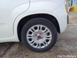  Fiat  Panda FIAT  / 2011 / 5P / BERLINA 1.0 FIREFLY 70CV SeS HYBRID #19