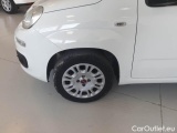  Fiat  Panda FIAT  / 2011 / 5P / BERLINA 1.2 69CV E6D-TEMP EASY #20