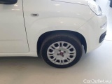  Fiat  Panda FIAT  / 2011 / 5P / BERLINA 1.2 69CV E6D-TEMP EASY #17