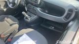  Fiat  Panda 1.0 FireFly 70cv S&S Hybrid #5