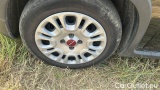  Fiat  Panda 1.0 FireFly 70cv S&S Hybrid #14