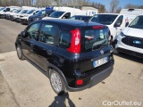  Fiat  Panda 1.0 FireFly 70cv S&S Hybrid #3