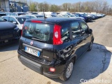  Fiat  Panda 1.0 FireFly 70cv S&S Hybrid #4