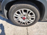  Fiat  Panda 1.0 FireFly 70cv S&S Hybrid #14