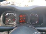  Fiat  Panda 1.0 FireFly 70cv S&S Hybrid #13