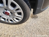  Fiat  Panda 1.0 FireFly 70cv S&S Hybrid #55