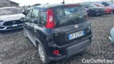  Fiat  Panda 1.0 FireFly 70cv S&S Hybrid #3