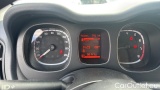  Fiat  Panda 1.0 FireFly 70cv S&S Hybrid #13