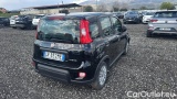  Fiat  Panda 1.0 FireFly 70cv S&S Hybrid #4