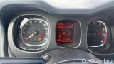  Fiat  Panda 1.0 FireFly 70cv S&S Hybrid #13