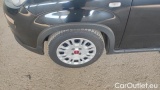  Fiat  Panda 1.0 FireFly 70cv S&S Hybrid #14