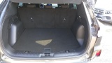  Ford  Kuga 2.5 Benzina FHEV 190CV 2WD ST-Line Aut #10