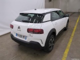 C4 Cactus