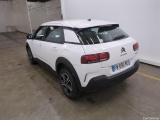 C4 Cactus