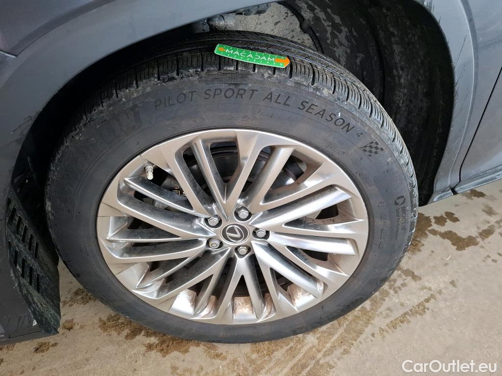  Lexus  RX LEXUS  / 2019 / 5P / SUV 450h Executive #19