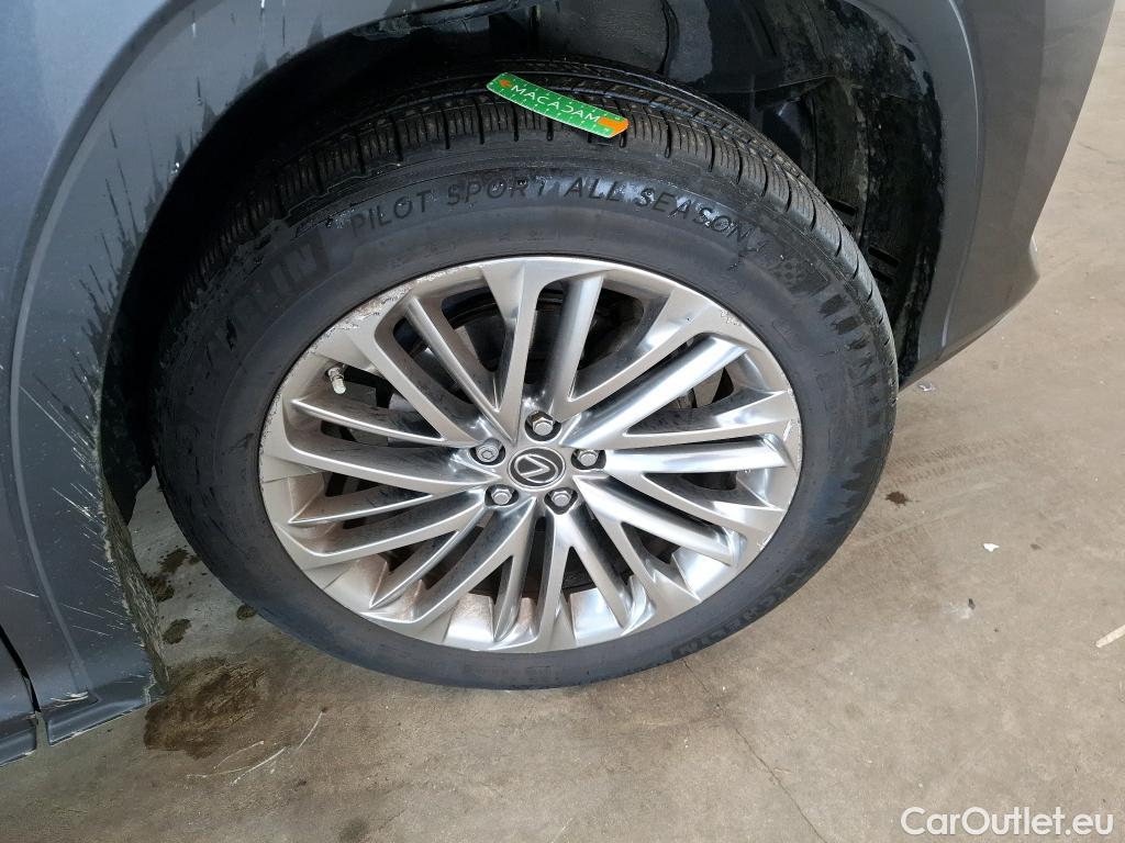  Lexus  RX LEXUS  / 2019 / 5P / SUV 450h Executive #23