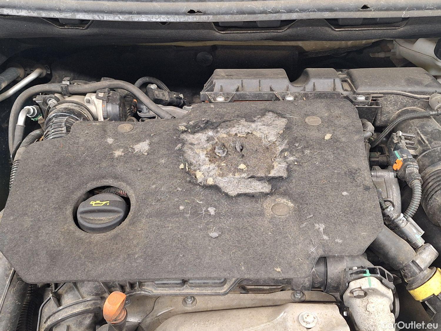  Peugeot  3008 Peugeot,  FL'20, Peugeot  1.5 BlueHDi 96kW S&S EAT8 GT Pack 5d #47