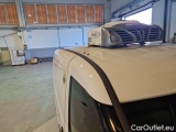  Fiat  Doblo FIAT DOBLÒ CARGO / 2014 / 4P / VETT. FURGONATA CH1 BUSINESS 1.6 MJET 90CV E6D-F SeS #19