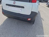 Fiat  Panda FIAT  / 2012 / 5P / BERLINA 1.2 69 CV VAN 2 POSTI EURO6 POP #77
