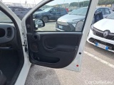  Fiat  Panda FIAT  / 2012 / 5P / BERLINA 1.2 69 CV VAN 2 POSTI EURO6 POP #120