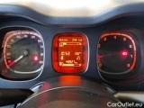  Fiat  Panda FIAT  / 2012 / 5P / BERLINA 1.2 69 CV VAN 2 POSTI EURO6 POP #4