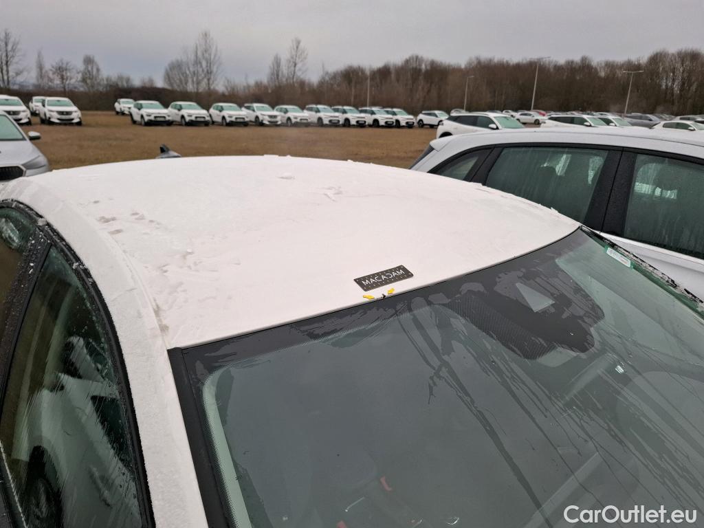  Skoda  Octavia  Berline Business 2.0 TDI 115CV BVM6 E6d #5