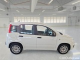  Fiat  Panda FIAT  / 2011 / 5P / BERLINA 1.0 FIREFLY 70CV SeS HYBRID #7