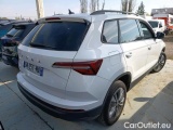  Skoda  Karoq 2.0 TDI 116 DSG7 BUSINESS #3