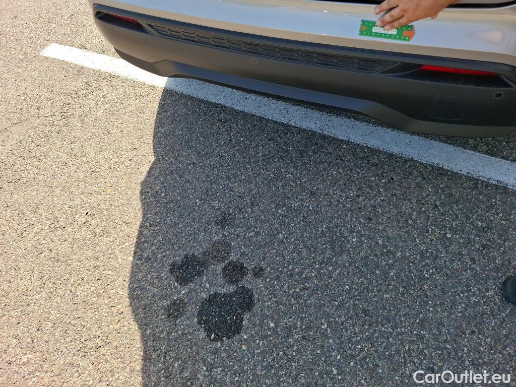  Nissan  Juke NISSAN  / 2019 / 5P / Crossover DIG-T 114 BVM6 Business Edition #23