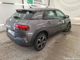 C4 Cactus