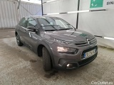 C4 Cactus