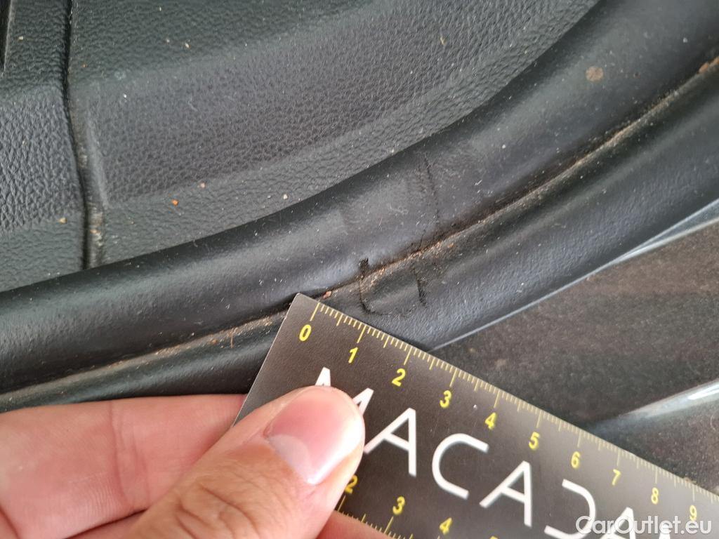  Ford  Focus  Break Trend Business 1.5 EcoBlue 120CV BVA8 E6dT #9