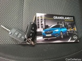  Opel   Grandland X Grandland X Business Edition 1.2 Turbo 130CV BVM6 E6d #12