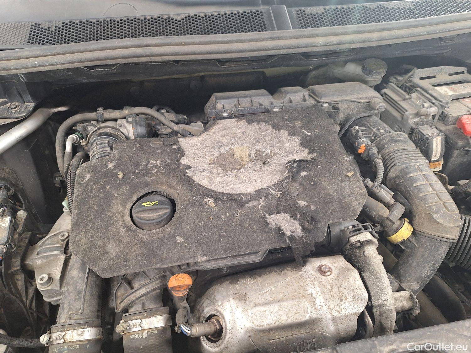  Citroen  C5 Citroën,  Aircross '18, Citroën  Aircross 1.5 BlueHDi 130 S&S EAT8 Bus.  #125