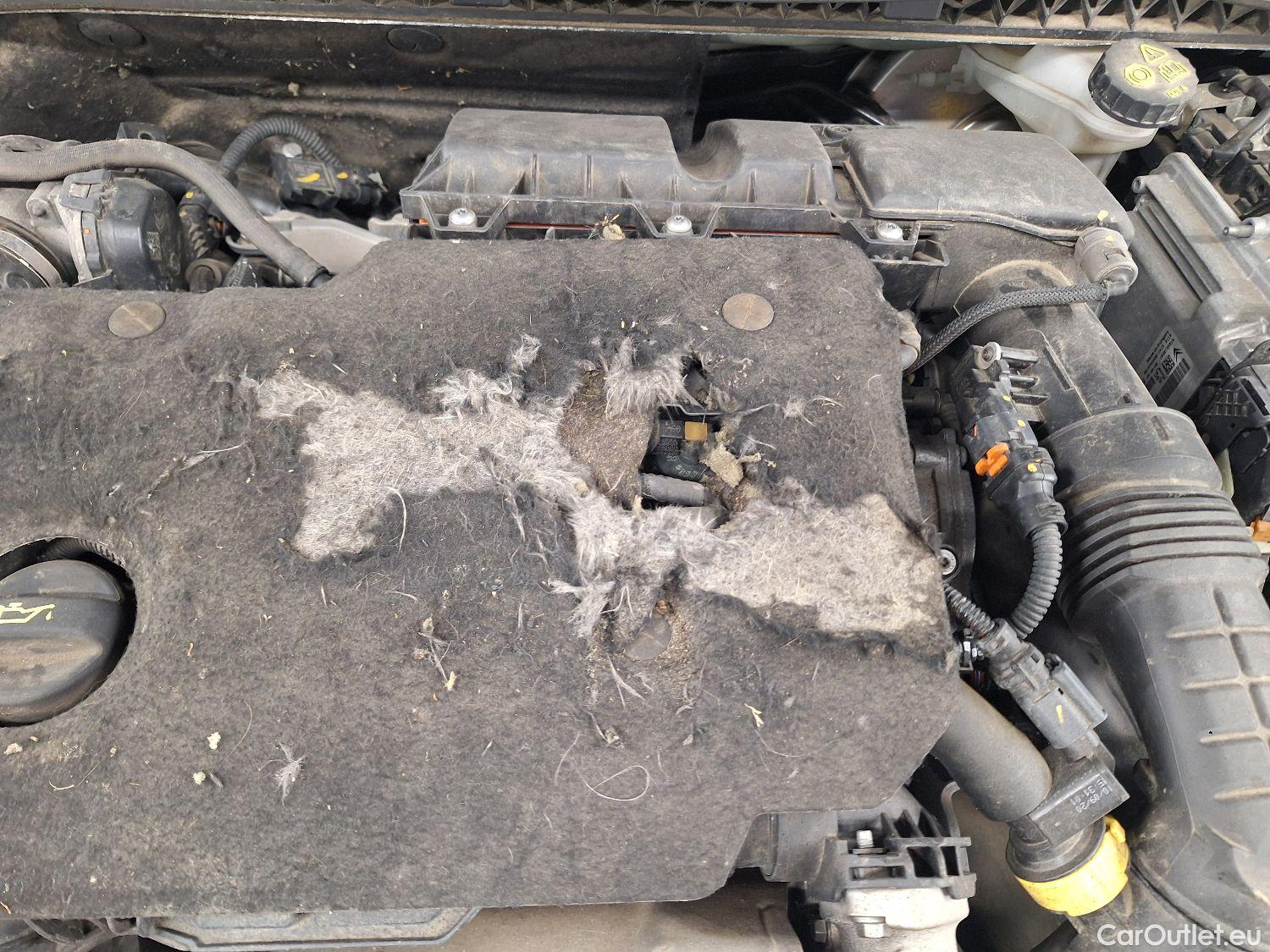  Peugeot  508 Peugeot,  SW '18, Peugeot  SW 1.5 BlueHDi 130 S&S BVM6 Allure 5d #57