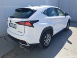  Lexus  NX LEXUS  / 2017 / 5P / todoterreno 2.5 300h Business Navigation 2WD (CX) #2