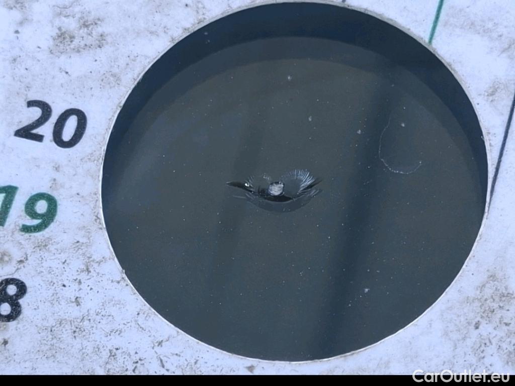  Citroen  Berlingo  Fourgon Worker M 1000 1.2 PureTech 130CV BVA8 E6d #11