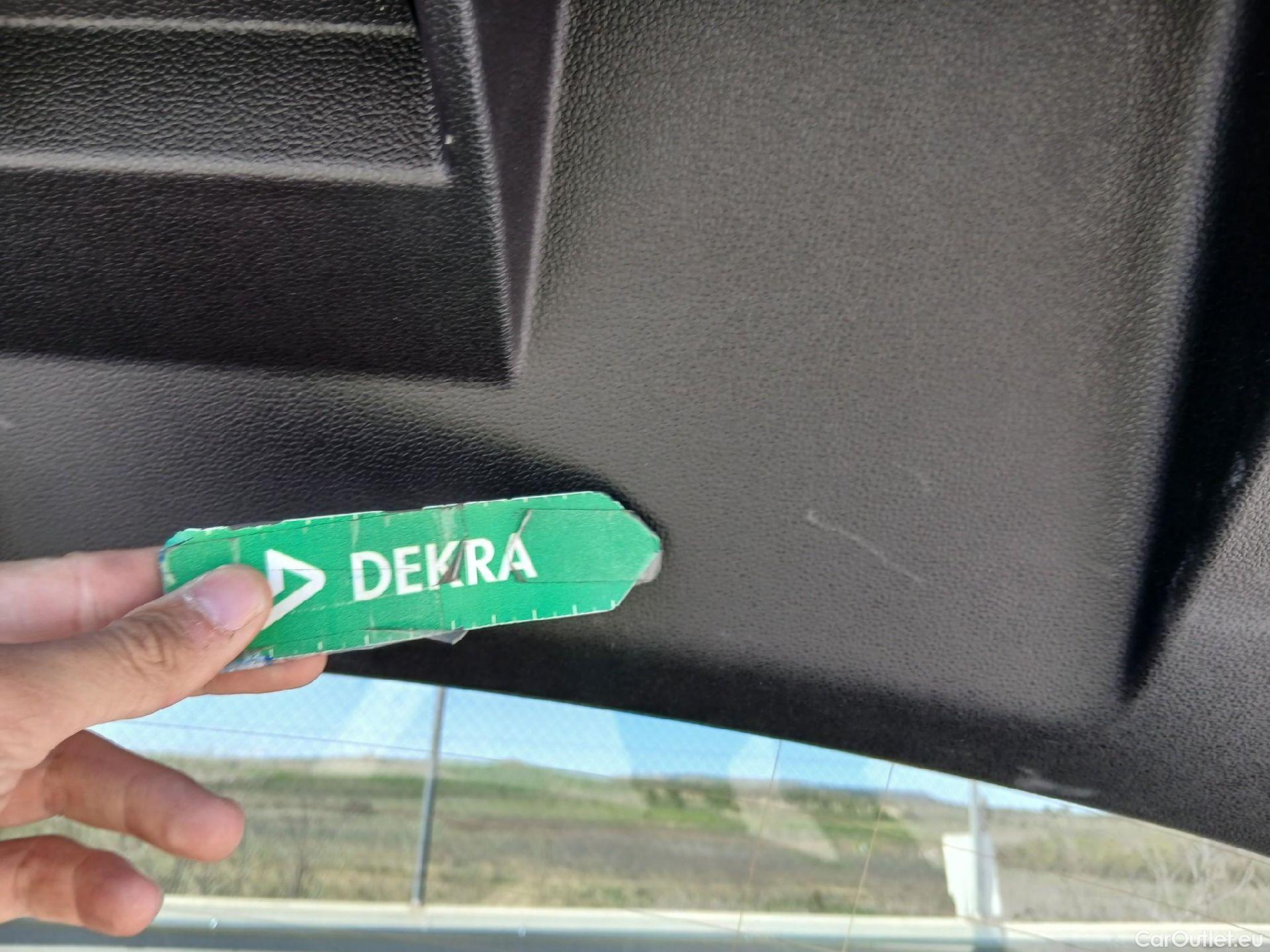  Volkswagen  Polo  VI GTI 2.0 TSI 205CV AT7 E6d #22