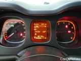  Fiat  Panda FIAT  / 2011 / 5P / BERLINA 0.9 TWINAIR TURBO 85CV WILD 4X4 #4
