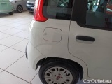  Fiat  Panda FIAT  / 2011 / 5P / BERLINA 1.2 69CV E6 EASY #59