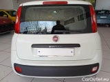  Fiat  Panda FIAT  / 2011 / 5P / BERLINA 1.2 69CV E6 EASY #62