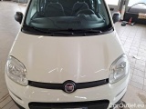  Fiat  Panda FIAT  / 2011 / 5P / BERLINA 1.2 69CV E6D-TEMP EASY #22