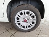  Fiat  Panda FIAT  / 2011 / 5P / BERLINA 1.2 69CV E6D-TEMP EASY #19
