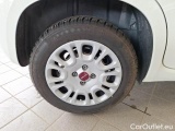  Fiat  Panda FIAT  / 2011 / 5P / BERLINA 1.2 69CV E6D-TEMP EASY #18