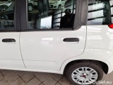  Fiat  Panda FIAT  / 2011 / 5P / BERLINA 1.2 69CV E6D-TEMP EASY #59