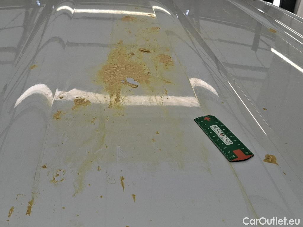  Renault  Kangoo  Express Maxi Extra (Série Spéciale) 1.5 dCi 110CV BVM6 E6 #15