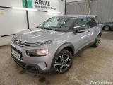 C4 Cactus