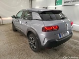 C4 Cactus